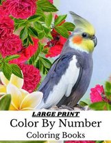 Large Print Color By Number Coloring Books