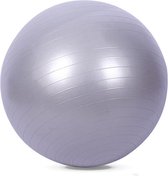 Fitness bal - Yoga bal - Gym bal - Pilates Bal - 55 cm - incl. Pomp - Grijs