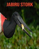 Jabiru Stork