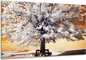 120 cm x 70 cm