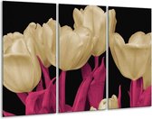 GroepArt - Schilderij -  Tulpen - Wit, Zwart, Roze - 120x80cm 3Luik - 6000+ Schilderijen 0p Canvas Art Collectie