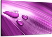 Peinture sur toile Drop | Violet, blanc | 140x90cm 1 Liège