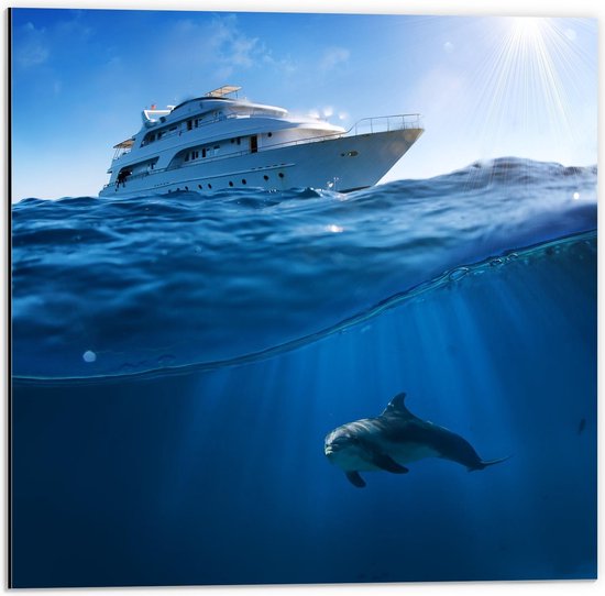 Dibond - Dolfijn zwemmend onder Witte Boot - 50x50cm Foto op Aluminium (Met Ophangsysteem)