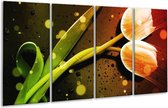 GroepArt - Glasschilderij - Tulp - Oranje, Groen, Rood - 160x80cm 4Luik - Foto Op Glas - Geen Acrylglas Schilderij - 6000+ Glasschilderijen Collectie - Wanddecoratie