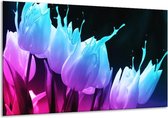 Peinture sur verre tulipe | Bleu, violet, rose | 120x70cm 1Hatch | Tirage photo sur verre |  F003939