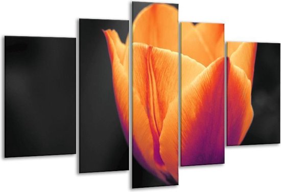 Glasschilderij Tulp - Oranje, Geel, Zwart - 170x100cm 5Luik - Foto Op Glas - Geen Acrylglas Schilderij - 6000+ Glasschilderijen Collectie - Wanddecoratie