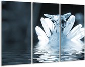 Peinture sur verre Fleur | Bleu gris | 120x80cm 3 Liège | Tirage photo sur verre |  F006606