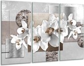 Glasschilderij Orchidee, Bloemen - Grijs, Wit - 120x80cm 3Luik - Foto Op Glas - Geen Acrylglas Schilderij - GroepArt 6000+ Glas Art Collectie - Maatwerk Mogelijk