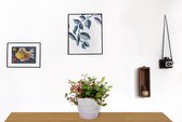 Kamerplant Tradescantia Quadricolor - ↕ ± 20cm - Ø 12cm - in betonnen lila pot