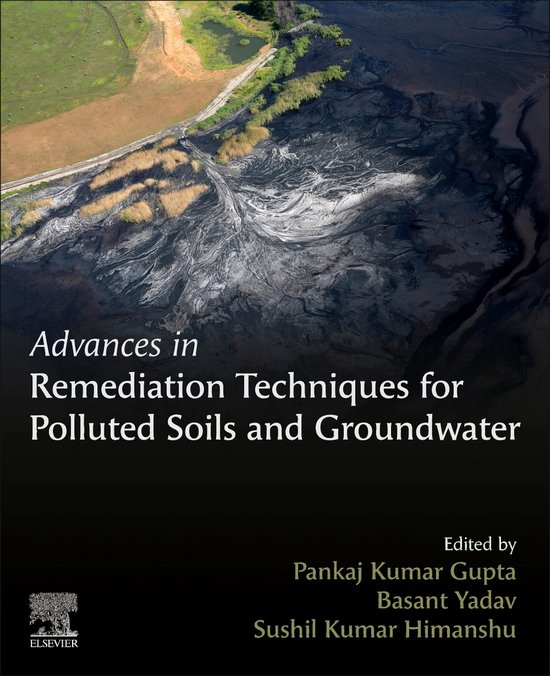Advances in Remediation Techniques for Polluted Soils and Gr ... - cover