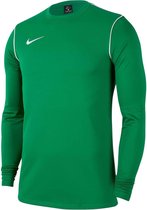 Nike Nike Park Crew 20 Sporttrui - Maat 152  - Unisex - groen - wit