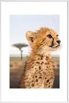 JUNIQE - Poster in kunststof lijst CHEETAH CUB -20x30 /Bruin & Oranje