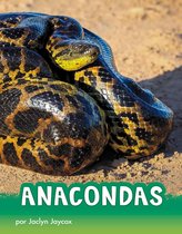 Animals en espanol - Anacondas