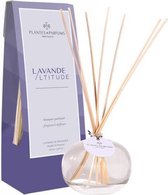 Plantes & Parfums Natuurlijke Pure Lavendel Provence Geurstokjes I Interieurparfum I Bloemige Geur I 100ml