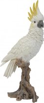 Beeld witte kaketoe 40 cm