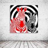 Wall Art Zebra's Acrylglas - 80 x 80 cm op Acrylaat glas + Inox Spacers / RVS afstandhouders - Popart Wanddecoratie
