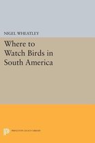 Where to Watch Birds in South America