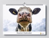 Idée cadeau ! |Vaches - Calendrier d'anniversaire de vache 35x24 cm | Calendrier mural