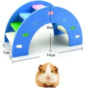 Hamster regenboogbrug - Hamster speelgoed