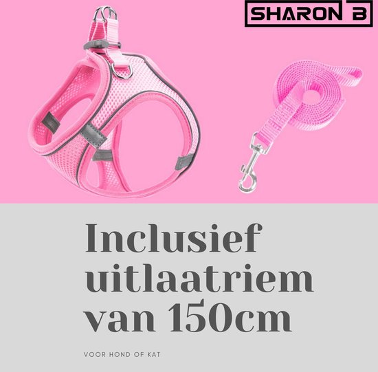 Kies het Juiste Y-Tuig voor je Grote Hond: Comfort en Controle in één