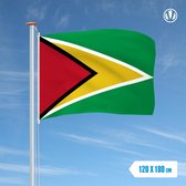 Vlag Guyana 120x180cm