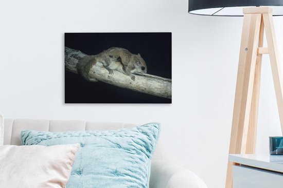 Écureuil volant sur une poutre toile 2cm 30x20 cm - petit - Tirage photo sur toile (Décoration murale salon / chambre) / Animaux sauvages Peintures sur toile