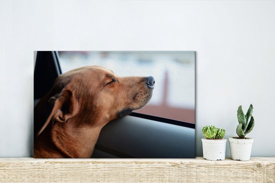 Chien profitant de l'extérieur toile 2cm 30x20 cm - petit - Tirage photo sur toile (Décoration murale salon / chambre) / Peintures sur toile pour Animaux domestiques