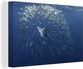 Canvas Schilderij Zwaardvis - Blauw - Water - 120x80 cm - Wanddecoratie