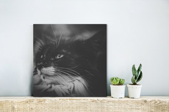 Tableau sur toile Profil animal chat de face en noir et blanc - 20x20 cm - Décoration murale