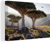 Canvas Schilderij Drakenbomen op een klif - 30x20 cm - Wanddecoratie
