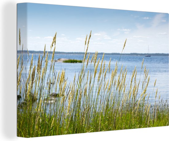 Peintures sur toile - Roseaux au bord de la mer - 150x100 cm - Décoration murale
