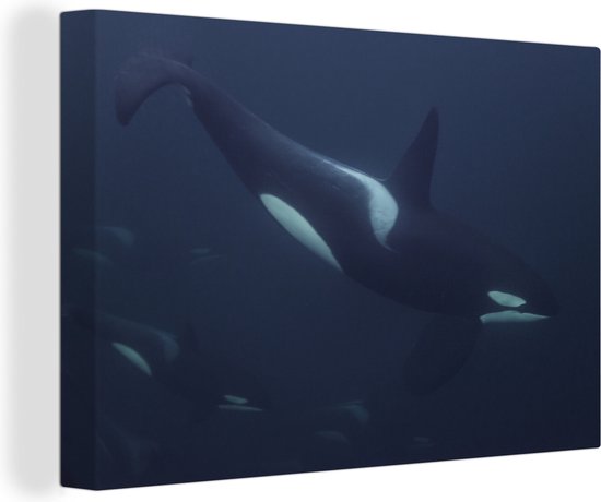 Canvas Schilderijen - Groep voorbijzwemmende orka's - Wanddecoratie