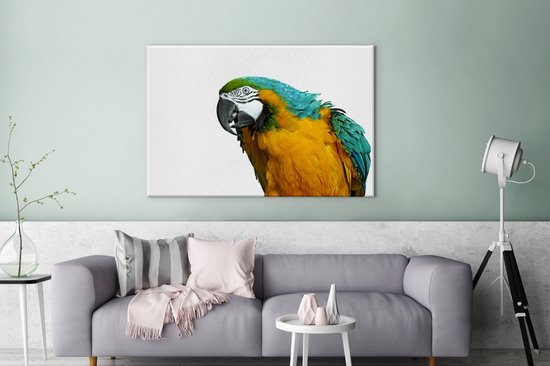 Perroquet devant toile de fond blanc 2cm 180x120 cm - Tirage photo sur Toile (Décoration murale salon / chambre) / Animaux sauvages Peintures sur toile XXL / Groot format!