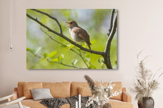 Tableau sur toile Rossignol chantant sur une branche - 150x100 cm - Décoration murale