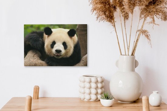 Canvas schilderij 30x20 cm - Wanddecoratie Dieren - Panda - Bomen - Muurdecoratie woonkamer - Slaapkamer decoratie - Kamer accessoires - Schilderijen op canvas