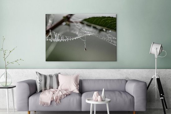 Peintures sur toile - Rosée d'automne dans une toile d'araignée - 140x90 cm - Décoration murale