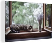 Canvas schilderij 140x90 cm - Wanddecoratie Cyperse kat uit het raam - Muurdecoratie woonkamer - Slaapkamer decoratie - Kamer accessoires - Schilderijen