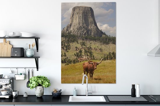 Tour des Diables dans le Wyoming avec une toile de taureau 2cm 90x140 cm - Tirage photo sur toile (Décoration murale salon / chambre)