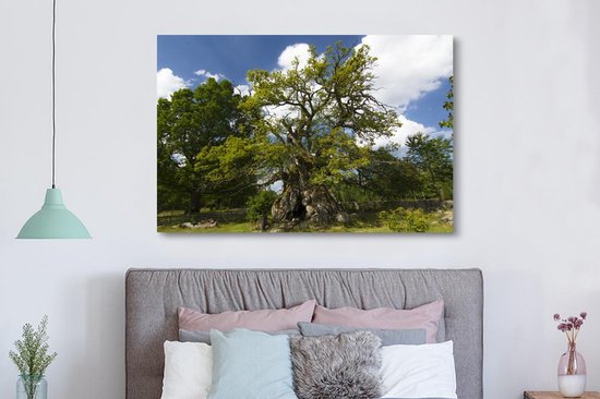 Tableau sur toile 150x100 cm - Décoration murale Le chêne de Rumskulla dans le parc national de Norra Kvill - Décoration murale salon - Décoration chambre - Accessoires chambre - Peintures