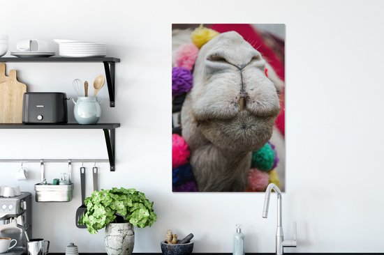 Gros plan d'une toile 2cm dromadaire 60x90 cm - impression photo sur toile peinture Décoration murale salon / chambre à coucher) / Animaux sauvages Peintures Toile