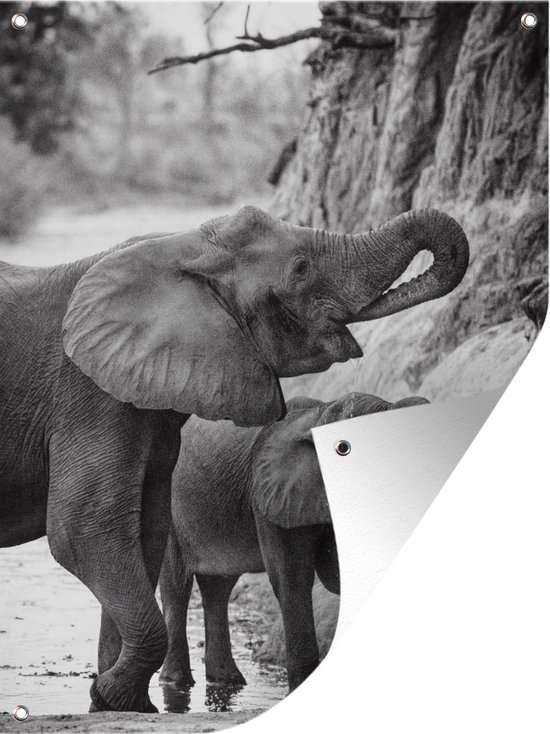Tuinschilderij Drinkende baby olifant met zijn moeder in zwart-wit - 60x80 cm - Tuinposter - Tuindoek - Buitenposter