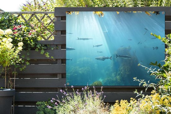Tuinposter - Tuindoek - Tuinposters buiten - Vissen in een aquarium in  Noorwegen -... | bol.com