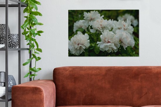 Pivoines Witte au printemps Toile 90x60 cm - Tirage photo sur toile (Décoration murale salon / chambre) / Peintures Fleurs sur toile