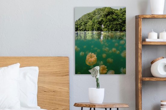 Demi-forêts photo sous-marines près du lac des méduses à Palau Toile 30x40 cm - petit - Tirage photo sur toile (décoration murale salon / chambre)