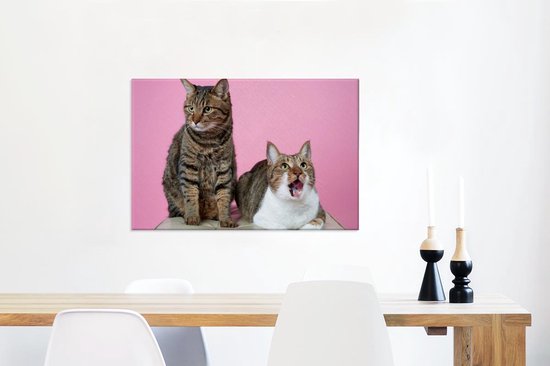 Deux chats devant fond rose Toile 60x40 cm - Tirage photo sur toile (Décoration murale salon / chambre) / Peintures sur toile animaux