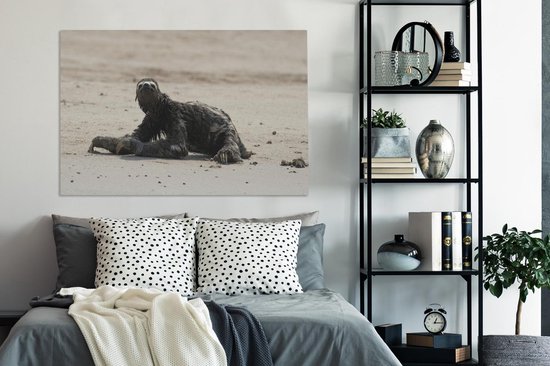 Paresseux sur la plage dans le parc national de Manu au Pérou Toile 120x80 cm - Tirage photo sur toile (Décoration murale salon / chambre)
