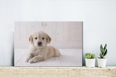Canvas Schilderij Witte Golden Retriever puppy - 30x20 cm - Wanddecoratie