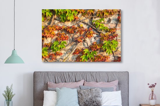 Feuilles d'Hedera rouges et vertes sur un mur de pierre Toile 180x120 cm - Tirage photo sur Toile (Décoration murale salon / chambre) XXL / Grand format!