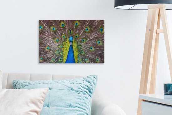 Mâle paon exhibe ses plumes rouges Toile 30x20 cm - petit - Tirage photo sur toile (Décoration murale salon / chambre)