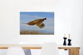 Canvas Schilderij Fazant - Veren - Vogel - 60x40 cm - Wanddecoratie